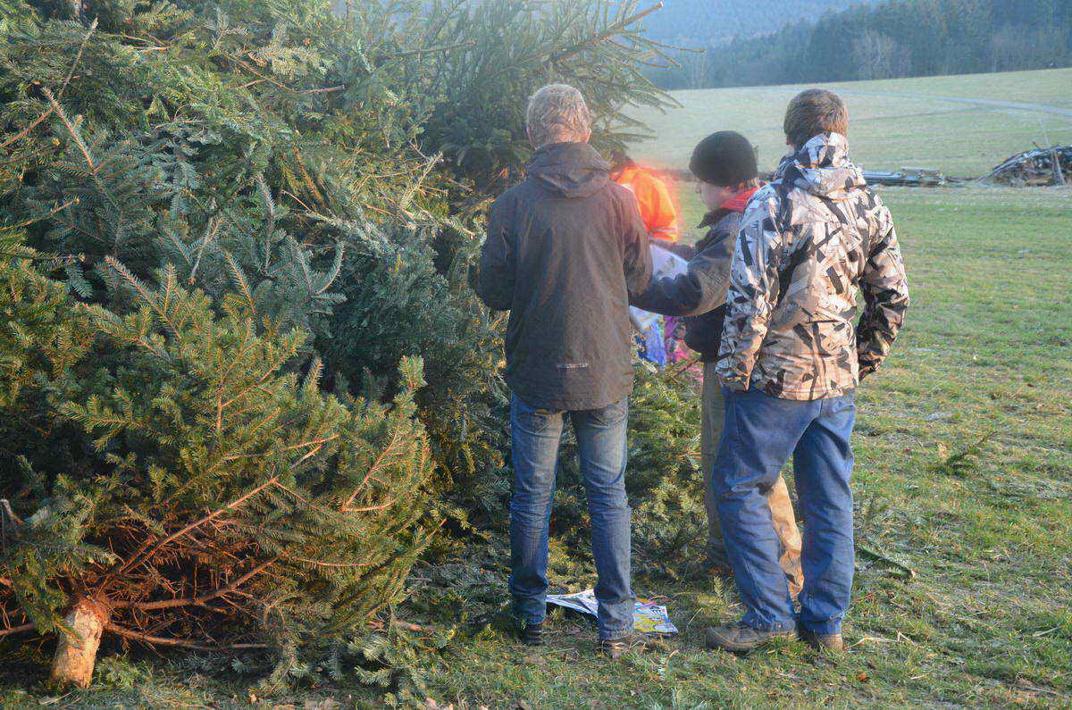 2013-01-12 WBAktion 22.jpg